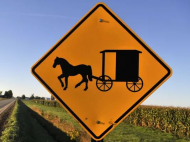 Michigan man starts 'Amish Uber' horse and buggy service.jpg