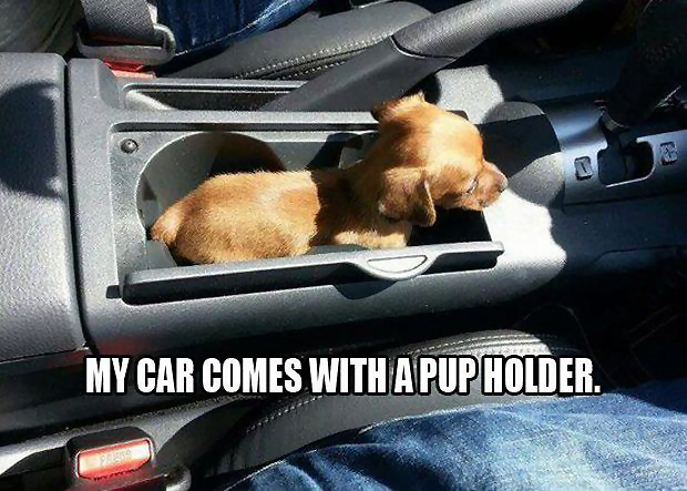 dog Pup Holder.png