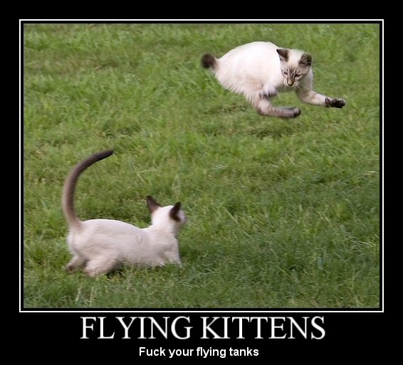 flying kittens.jpg