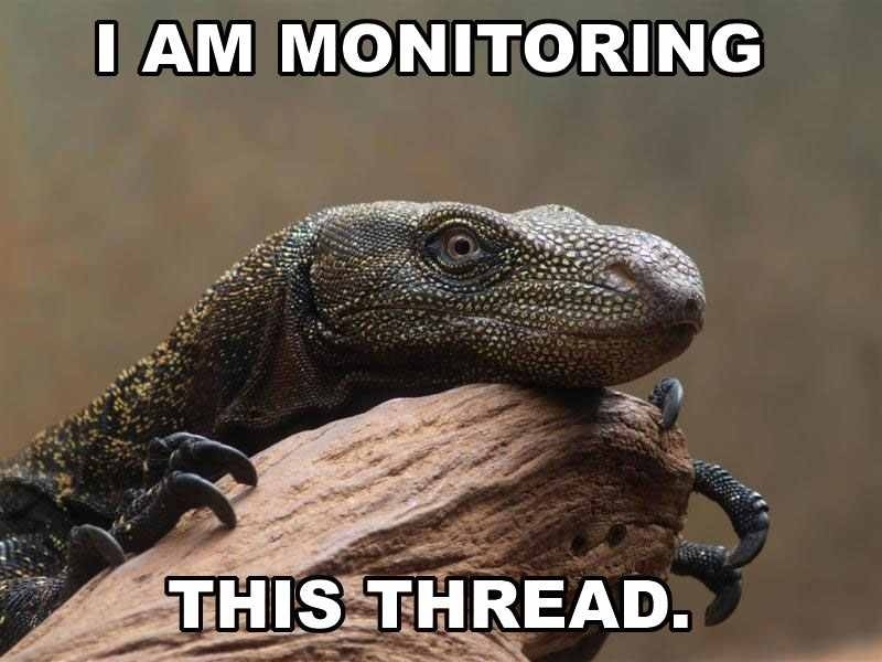 Monitoring The Thread.jpg