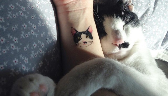 cattattoo640x364.jpg