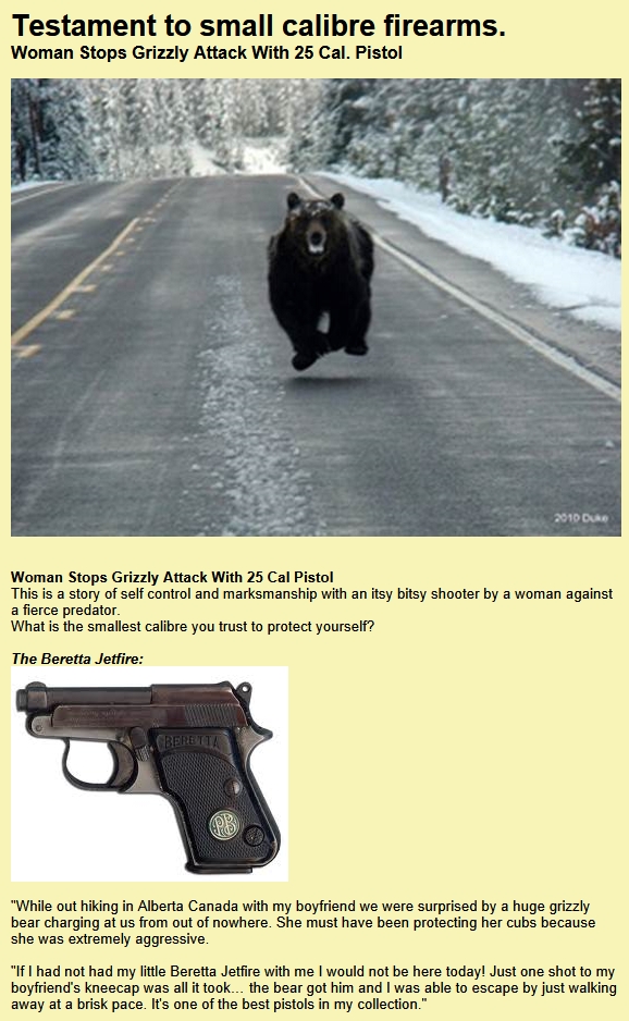 Gun control - pistol versus bear joke.jpg