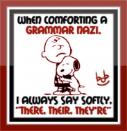 When comforting a grammar nazi.jpg