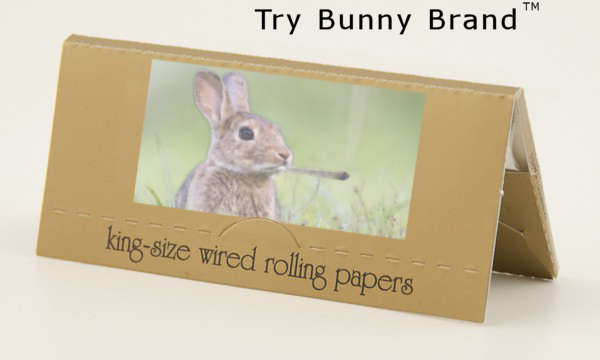 bunny papers.png