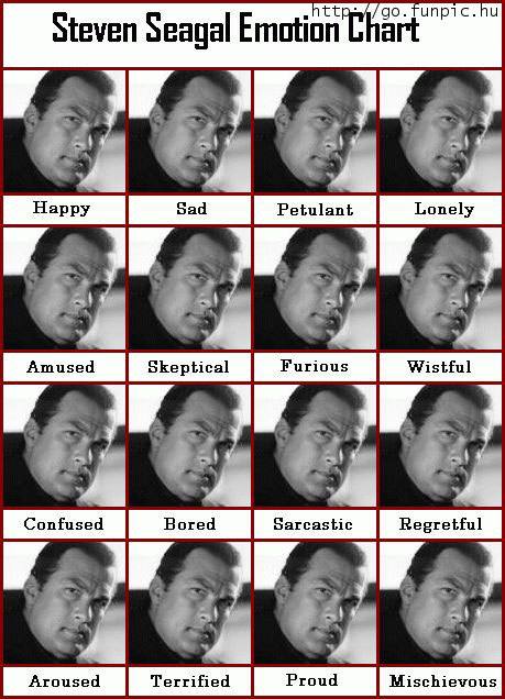 StevenSeagalEmotionActingChart.jpg