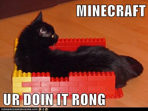 LOLMouser - Minecraft, You're Doing it Wrong.png