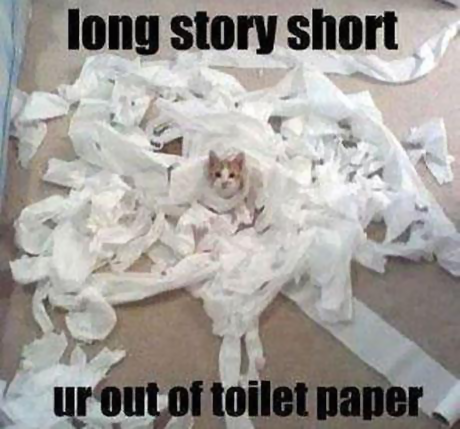 cat Out of TP.png