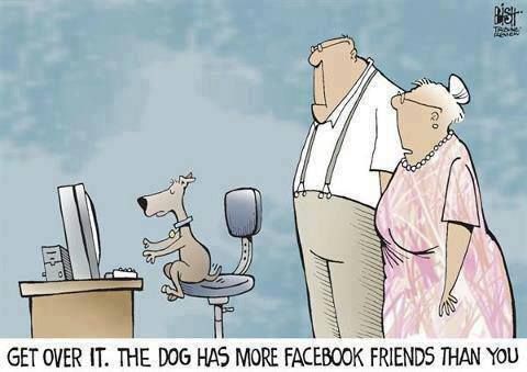 facebookdog.jpg