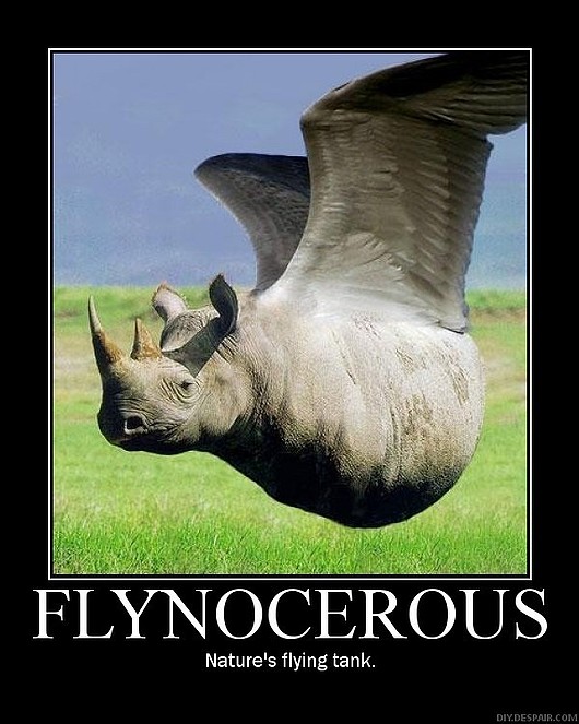 flynocerous.jpg