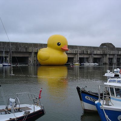 rubber-duck-3.jpg