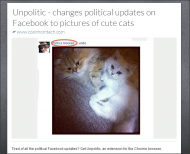 Changes all politics into cats.png