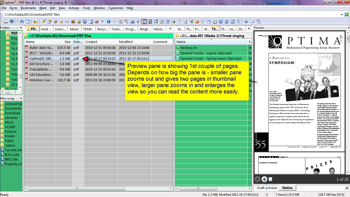 Screenshot - 2012-02-12 xplorer² Preview pane.png