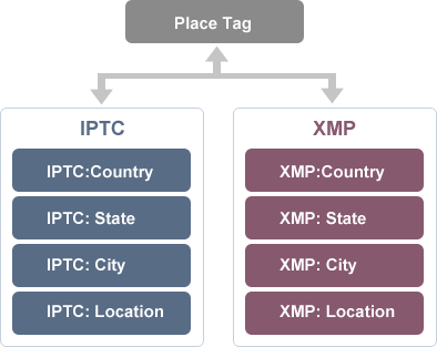 store-info-inside-xmp-iptc-mwg-metadata.gif