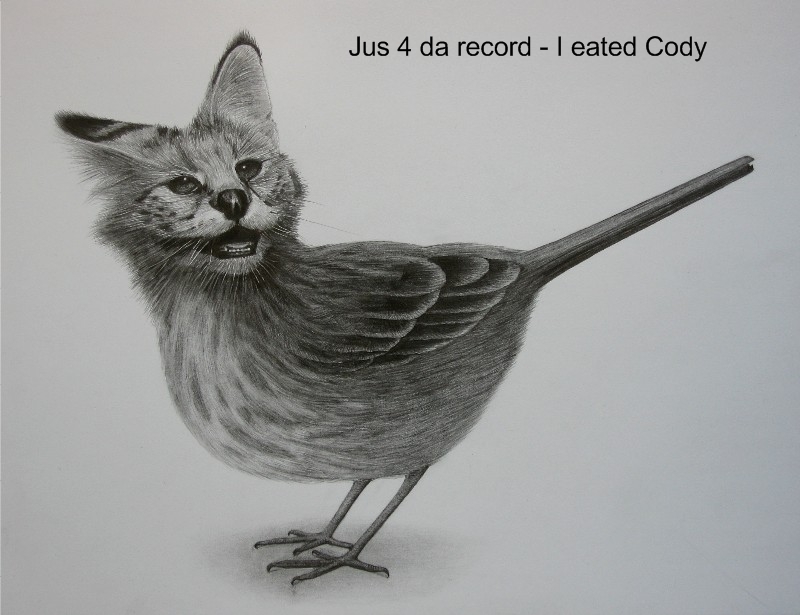 CodyCatBird.jpg