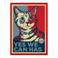 yes_we_can_has_lolcat_print_poster-rbe4f295feb9347c899b42d595745db2c_yl7_400.jpg