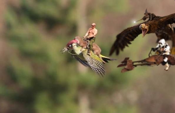 The Weasel Riding The Woodpecker Is Now A Glorious Meme.jpg