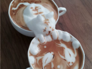 Coffee cat.jpg