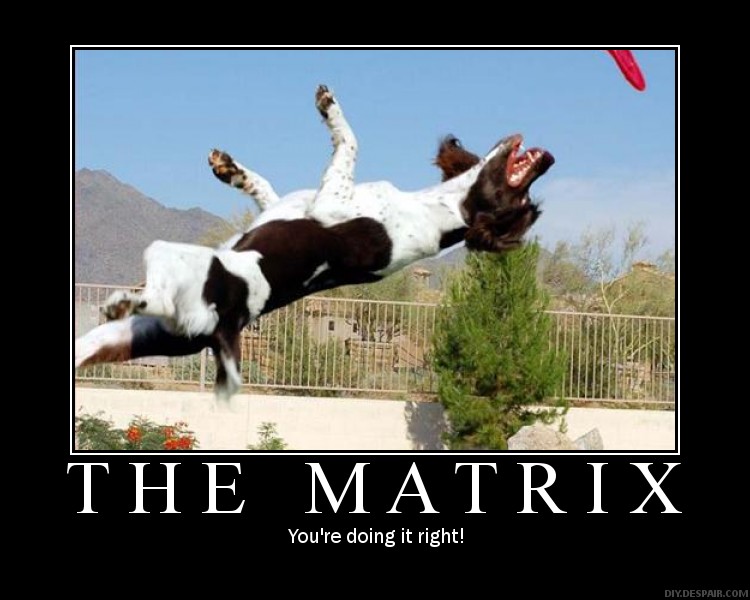 THE MATRIX - doing it right.jpg
