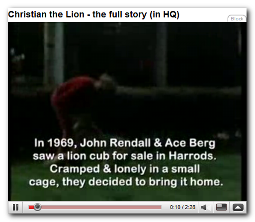 Christian the Lion.png