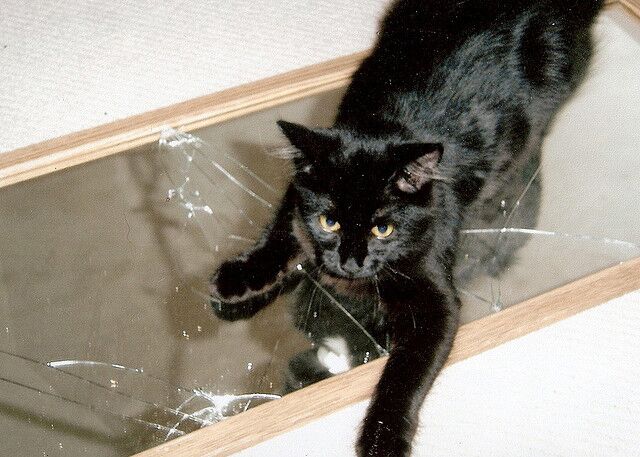 Broken mirror and black cat.jpg