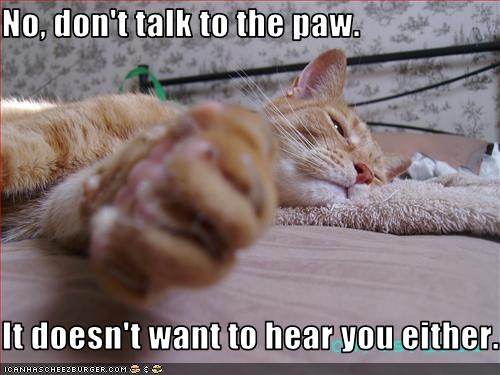 talktopaw.jpg