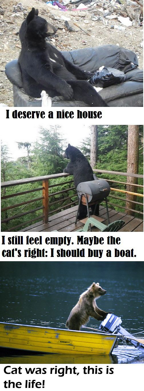 bear house boat.png