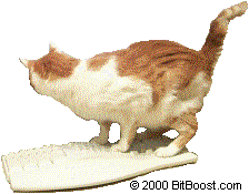 peanut-on-kybd-009.gif