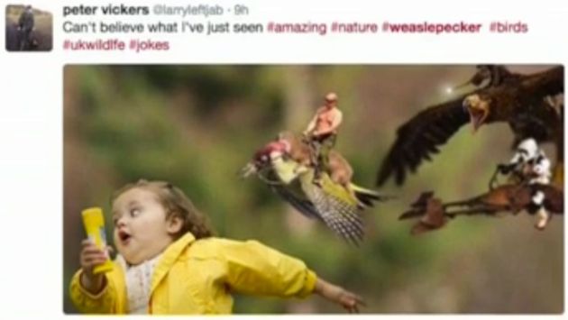 No celebrity is safe from the #weaselpecker2 .jpg