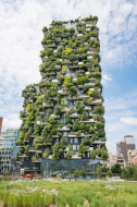 A Vertical Forest.jpg