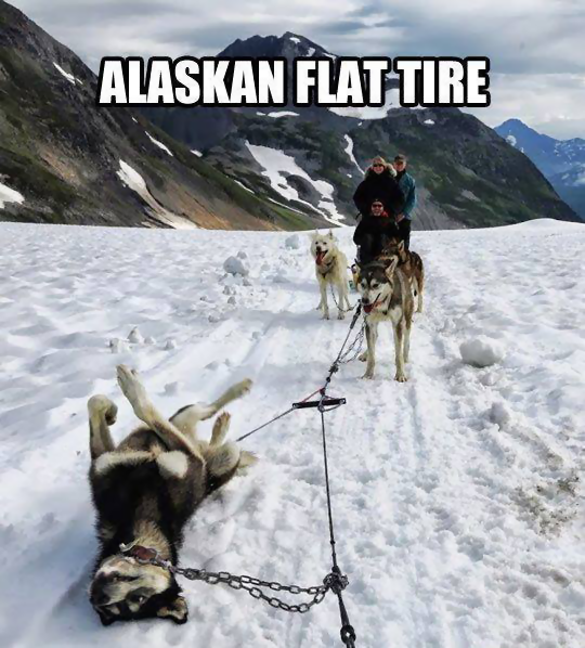 Dog Flat Tire.png