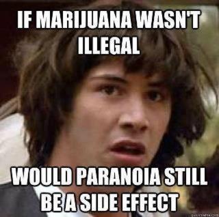 marijuana-paranoia.jpg