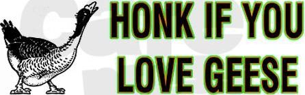 Honk If You Love Geese.jpg