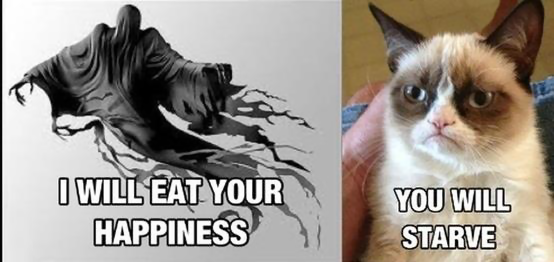 cat Happiness starve.png
