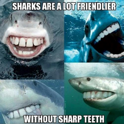anim shark friendly.png