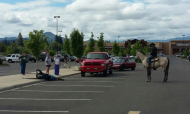 Rancher on horseback lassoes would-be bike bandit in Walmart parking lot.jpg