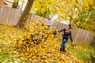 Young Couple Playing In Leaves While Raking The Yard stock.jpg