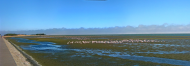 Walvis Bay.jpg