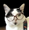 Feline Nerd.jpg