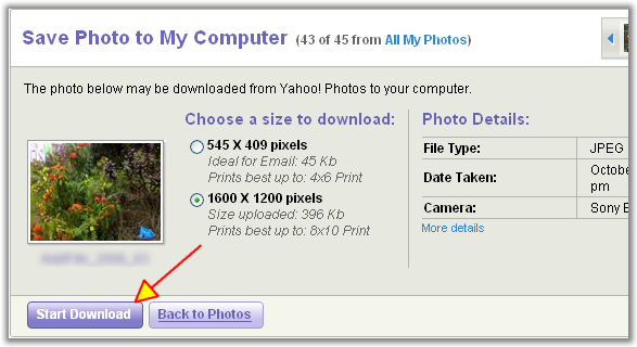 yahoo-photo-dl2.png