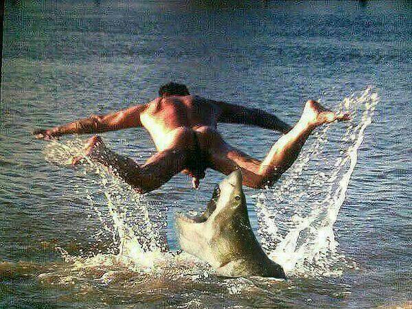 Nuotatore nudo e squalo.jpg