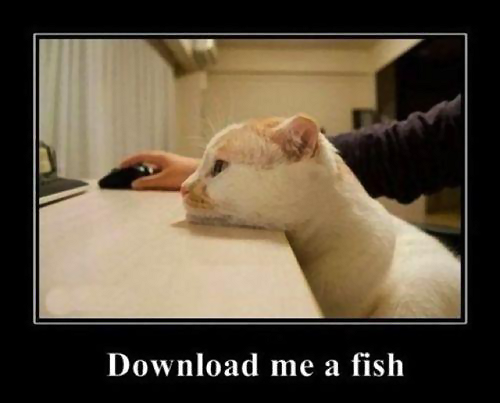 cat Download A Fish.png