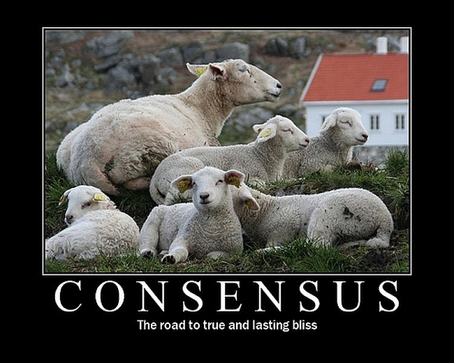 Consensus sheep.jpg