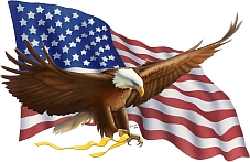 eagle_flag_resized.jpg