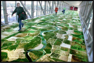 Sacramento airport ''Flying Carpet''.jpg