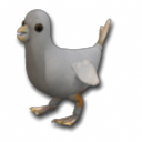 Cody the Doco Bird.png