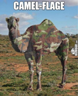 Camel-flage.jpg