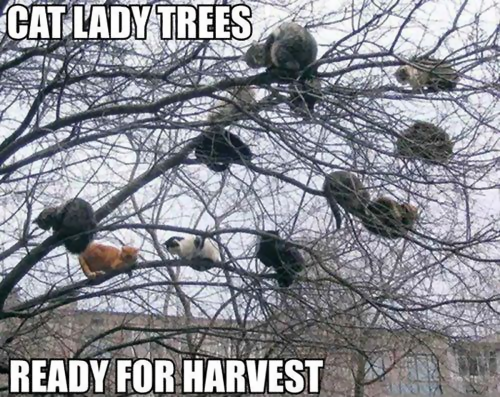 Cat Lady Trees.png