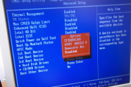 Bios 3 2012-03-04 09-11-33 AM.JPG