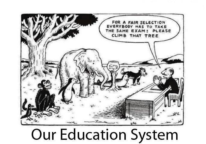 Education-system-standard-tests.jpg