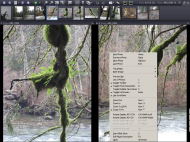 exifPro image viewer context menu-medium.png